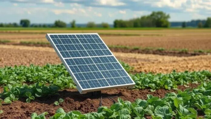 Pesquisadores desenvolvem dispositivo solar que remove césio radioativo do solo Pesquisadores desenvolvem dispositivo solar que remove césio radioativo do solo