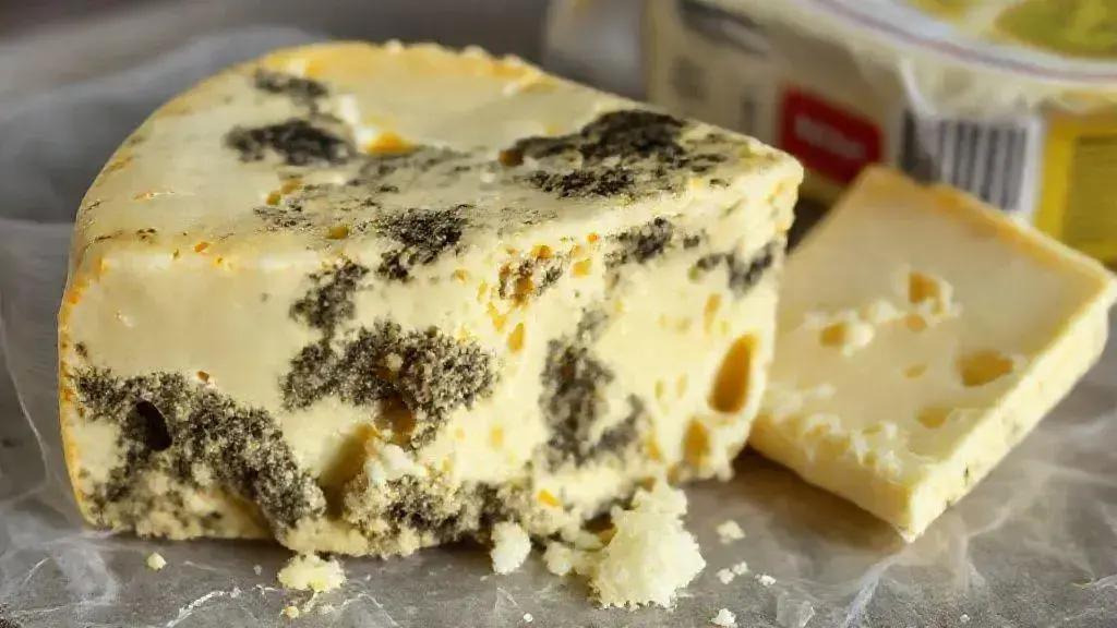Os riscos do consumo de queijo estragado Os riscos do consumo de queijo estragado