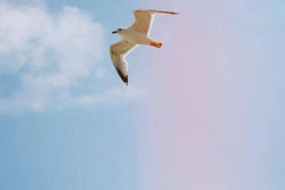 Desafios enfrentados pelos recrutadores e soluções práticas Desafios enfrentados pelos recrutadores e soluções práticas