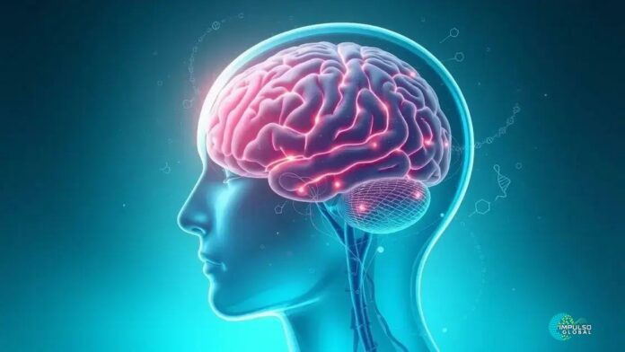 Fatores de risco e novos tratamentos: os avanços sobre demência Fatores de risco e novos tratamentos: os avanços sobre demência