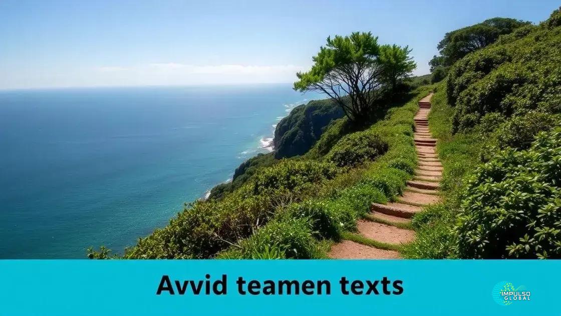 O simbolismo do mirante e da trilha O simbolismo do mirante e da trilha